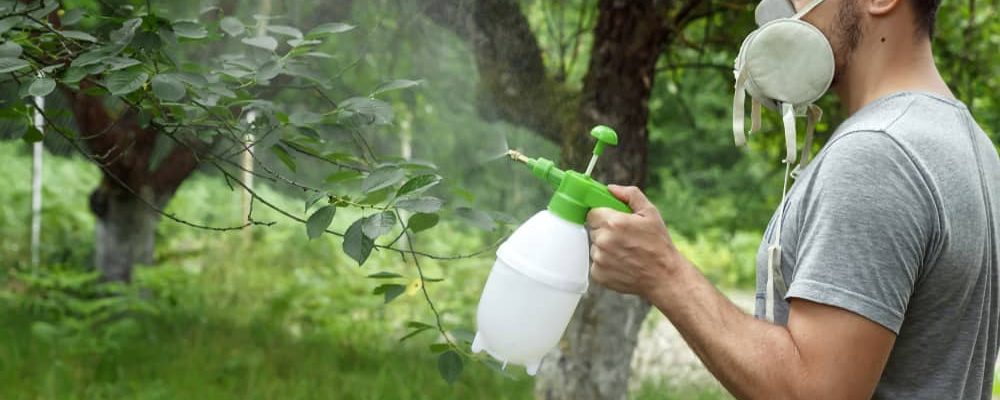 A man uses pesticides on his garden